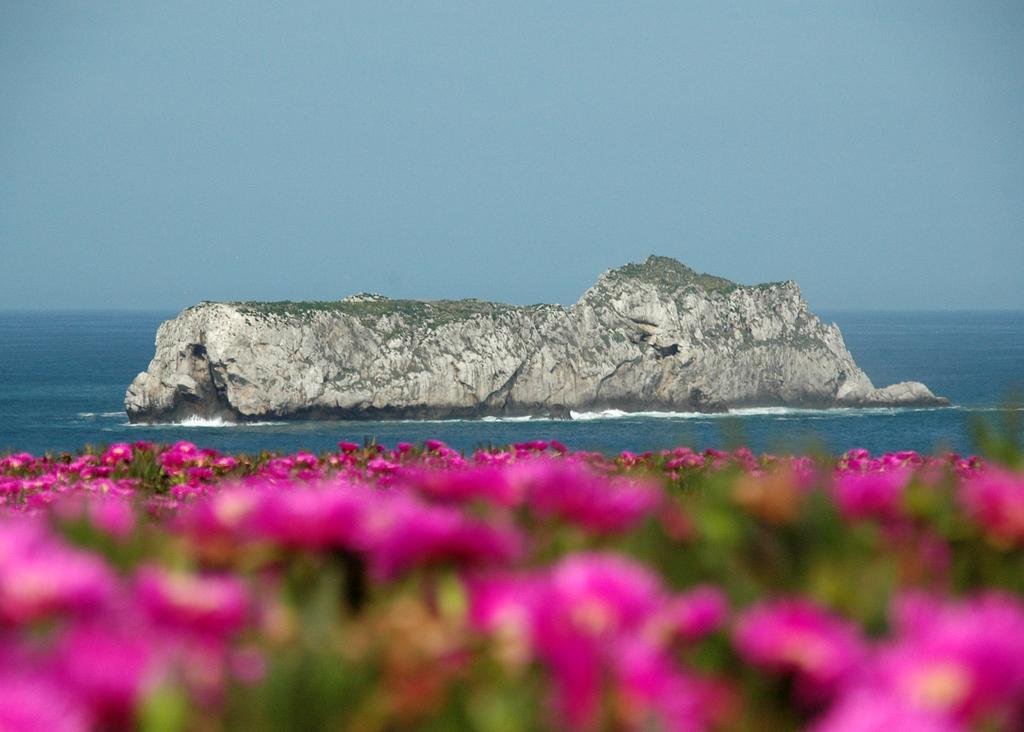 Posada Santa Ana Suances Εξωτερικό φωτογραφία
